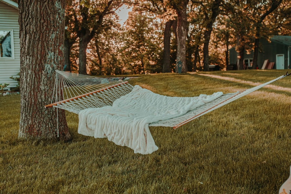 A hammock in a backyard   