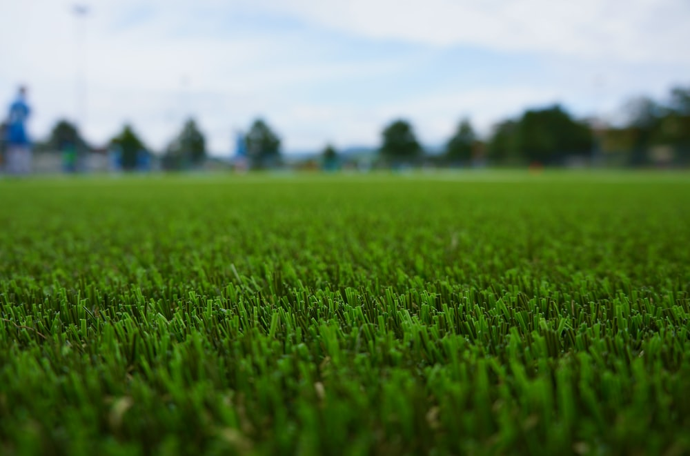 Close-up shot of artificial grass
