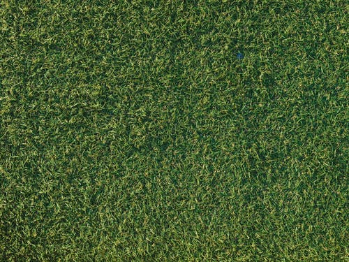 a picture of an artificial turf