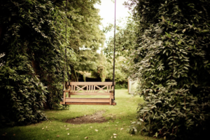 How to Create an Aesthetically Pleasing Backyard Oasis
