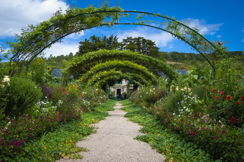A garden with an archway.