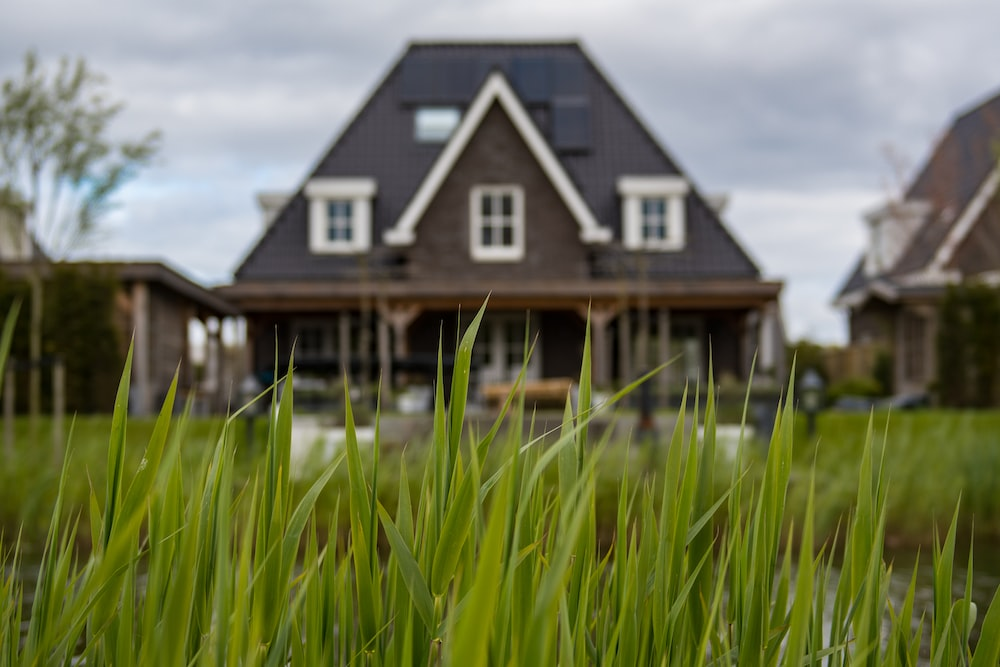 tall grass on a lawn outside a house