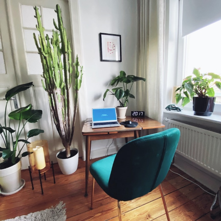 A home office with indoor plants.